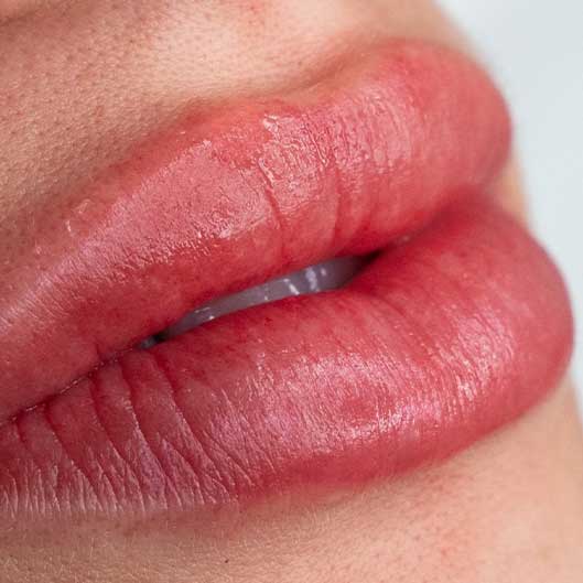 Sobrancelhas, Pele e Lábios em São José do Rio Preto Karol Mafra Beauty Nano Labial